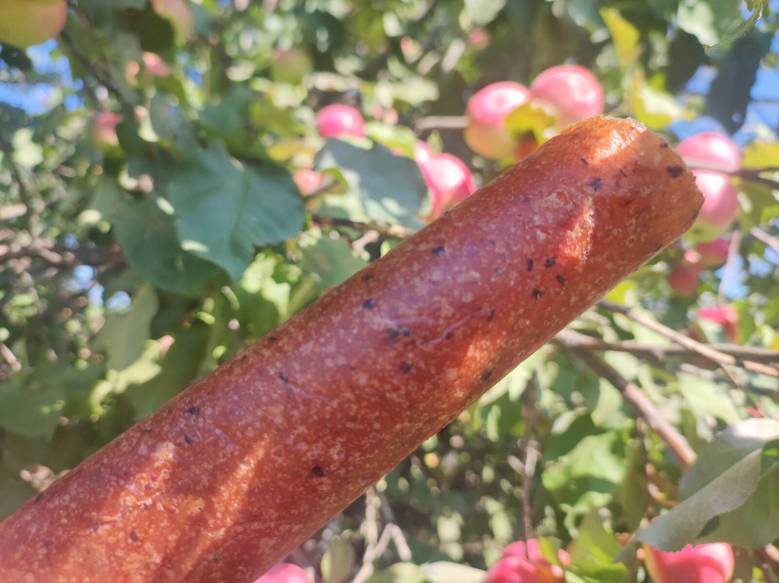 Алманан иң файҙалы ризыҡ