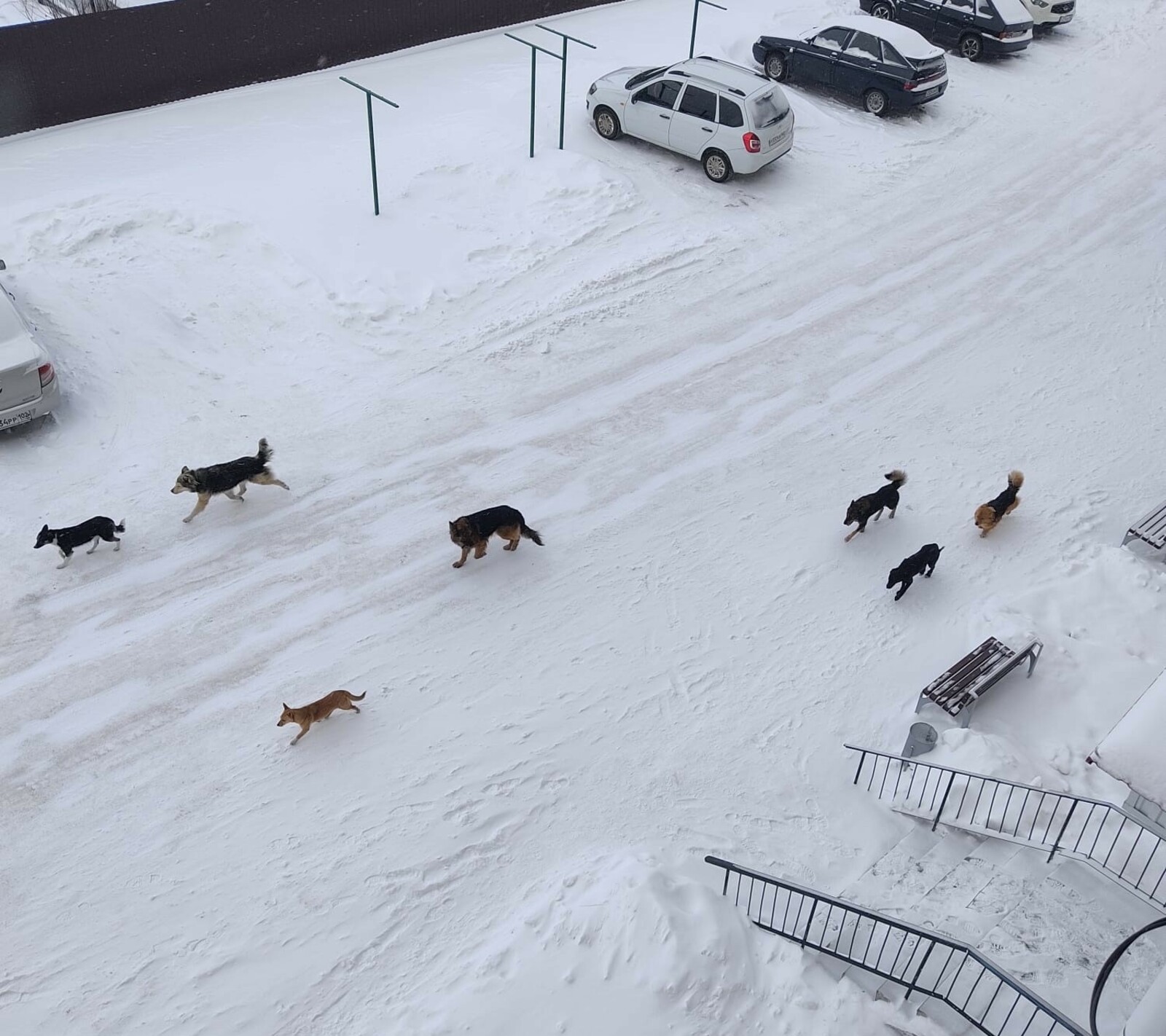 Был ауырыуҙан һәләк тә булалар