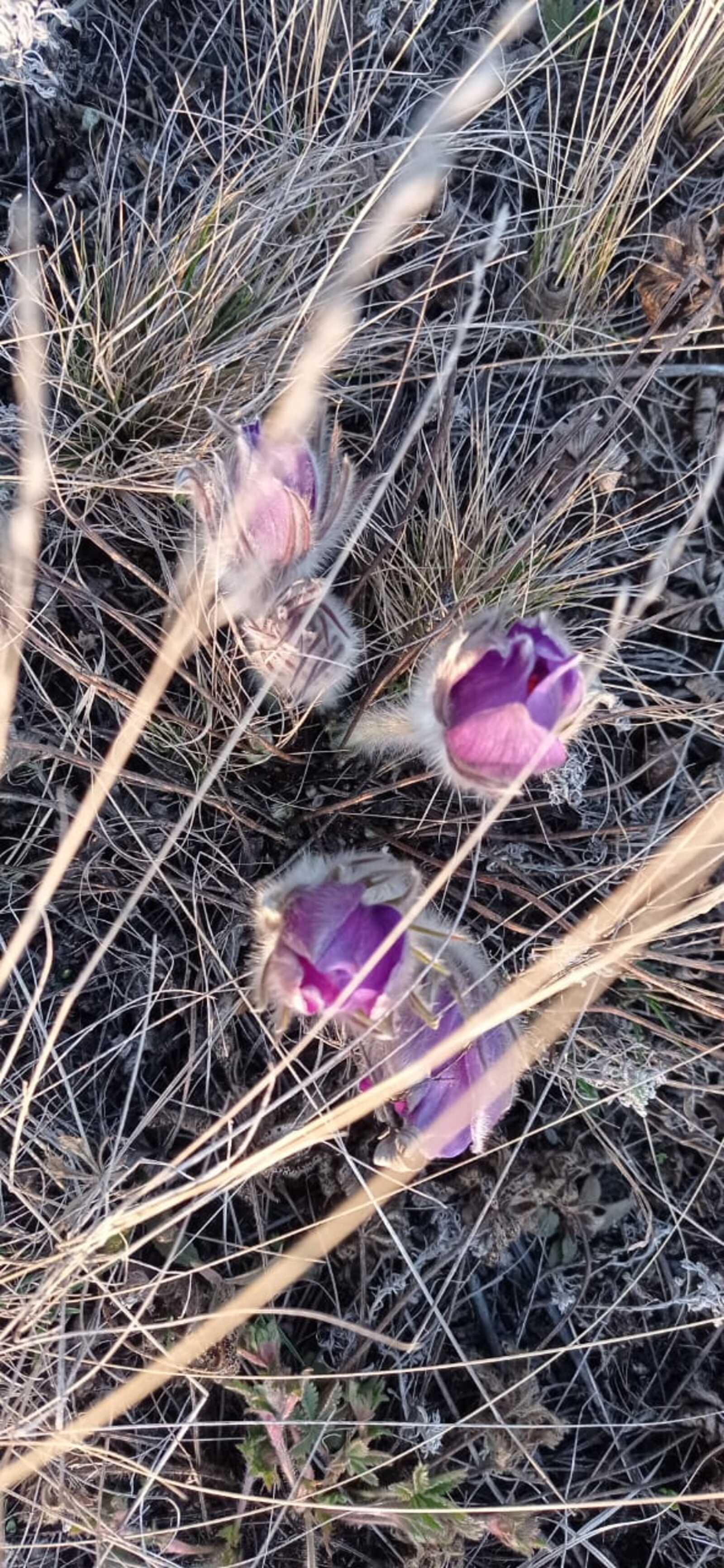 Умырзаяның файҙаһы ҙур