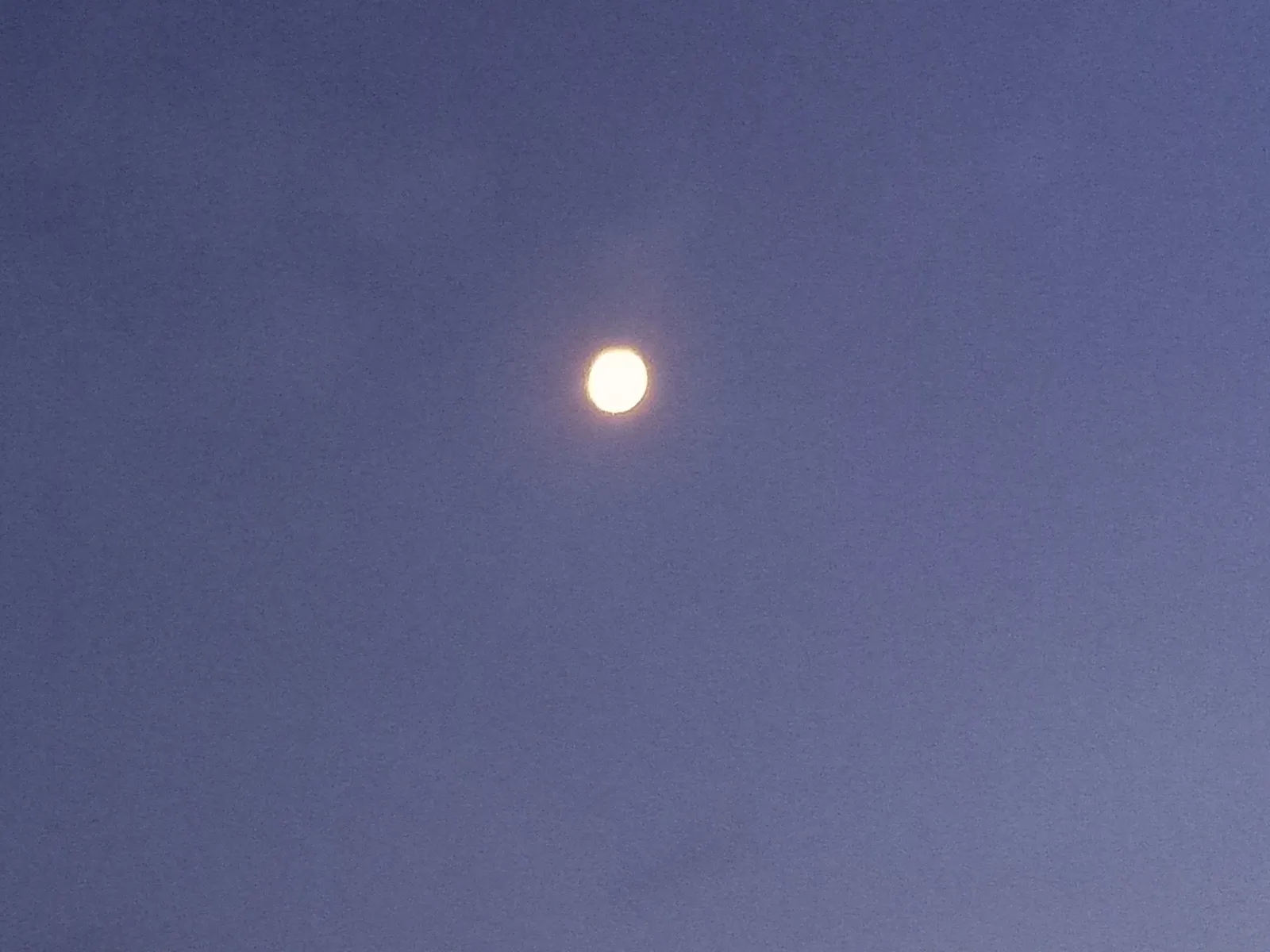 Яңғыҙ йөрөмәгеҙ